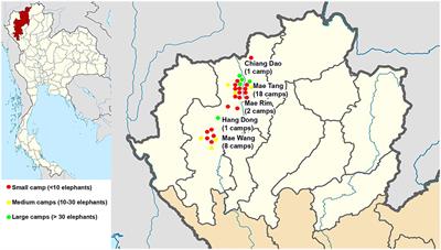 Effect of the COVID-19 pandemic and international travel ban on elephant tourist camp management in northern Thailand